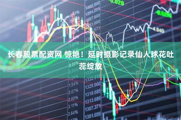 长春股票配资网 惊艳！延时摄影记录仙人球花吐蕊绽放