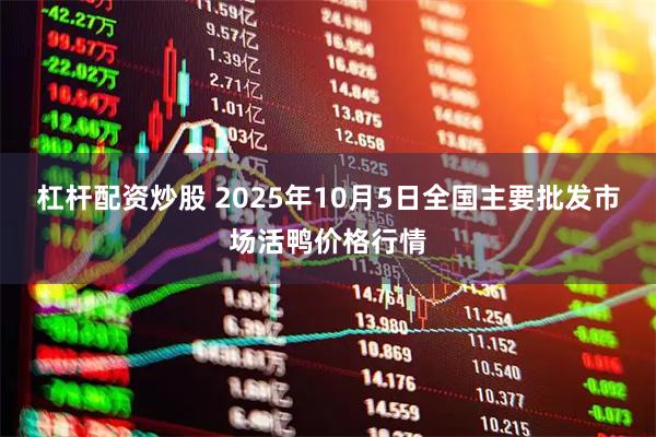 杠杆配资炒股 2025年10月5日全国主要批发市场活鸭价格行情