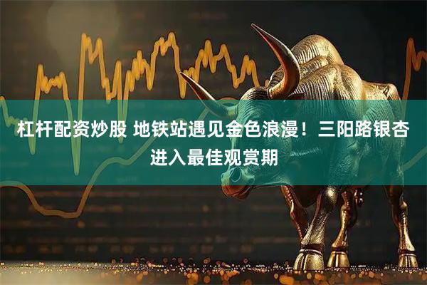 杠杆配资炒股 地铁站遇见金色浪漫！三阳路银杏进入最佳观赏期