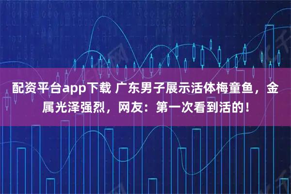 配资平台app下载 广东男子展示活体梅童鱼，金属光泽强烈，网友：第一次看到活的！