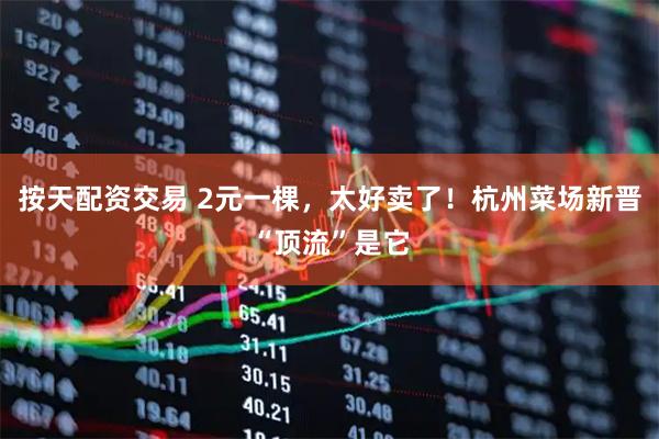 按天配资交易 2元一棵，太好卖了！杭州菜场新晋“顶流”是它