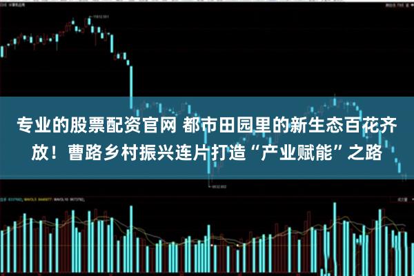 专业的股票配资官网 都市田园里的新生态百花齐放！曹路乡村振兴连片打造“产业赋能”之路